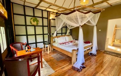 A Lodge Full of Stories: Inside Irungu Forest Lodge